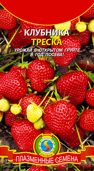 Клубника Треска, 10 шт (НОВИНКА)/Плазмас/