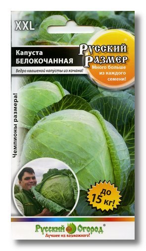 Капуста белокочанная Русский размер /НК/ 50шт/ до 15кг