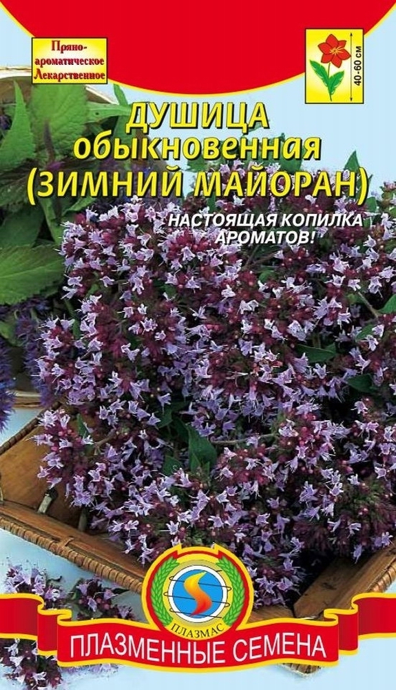 Душица обыкновенная (Зимний майоран)