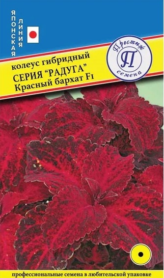 Колеус Радуга Красный бархат (10шт) Престиж
