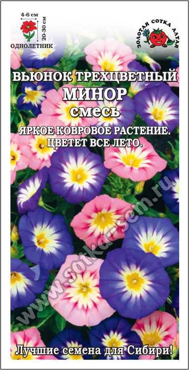 Вьюнок Минор трехцветный /Сотка/ 0,5 г/ 20-30см/*900