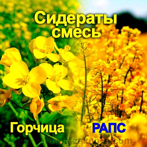 Горчица + рапс смесь сидератов (1кг) Фазенда Сибири/20