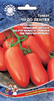 Томат Чудо лентяя (УД) Е/П