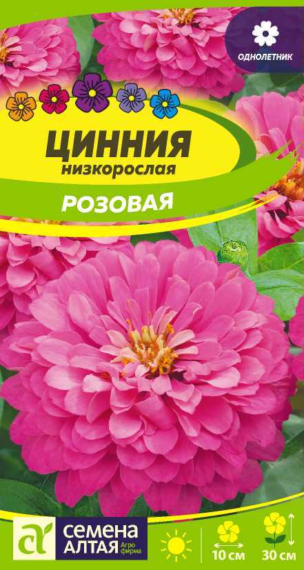 Цветы Цинния Розовая низкорослая/Сем Алт/цп 0,3 гр. (2026 / 22619)