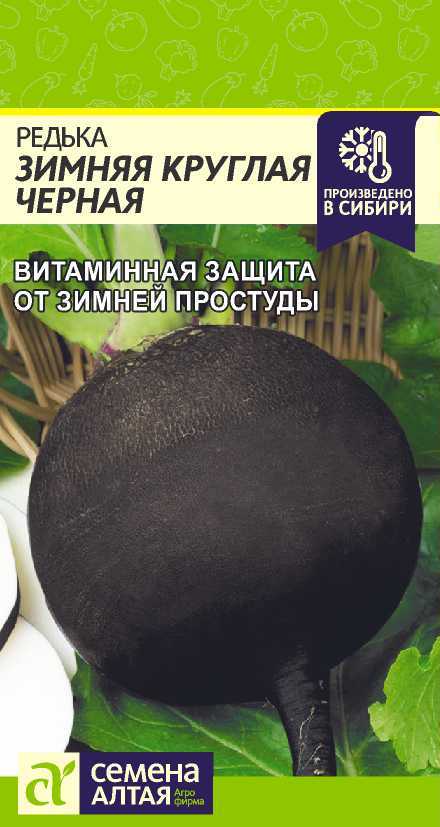 Редька Зимняя Круглая Черная/Сем Алт/цп 1 гр. (2029 / 4830)