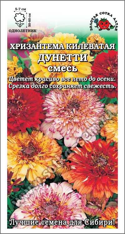 Хризантема Дунетти смесь /Сотка/ 0,2г/ h-50-60см d-5-7см