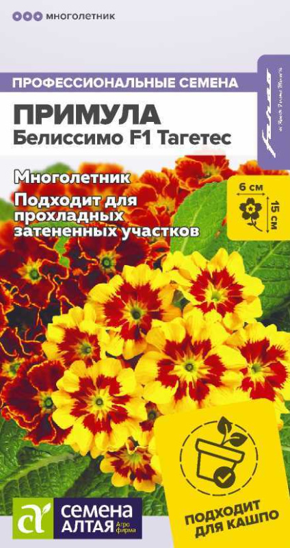Примула Белиссимо F1 Тагетес/Сем Алт/цп 5 шт. многолетник