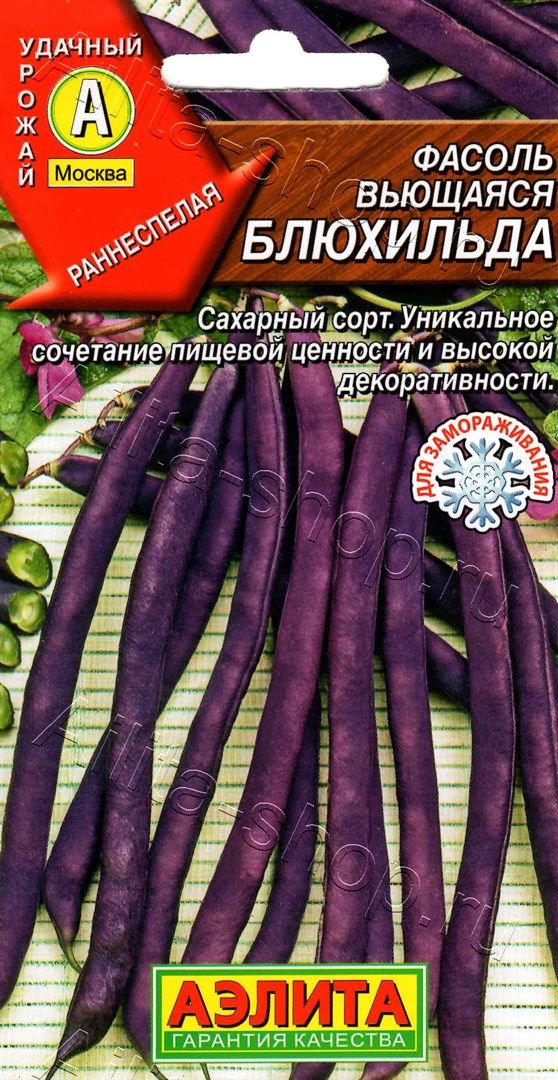 Фасоль спаржевая вьющаяся Блюхильда (5г) Аэлита