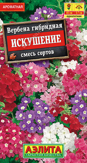 Вербена Искушение смесь /Аэлита/ 40шт/ ампельн. h-45см d-2см