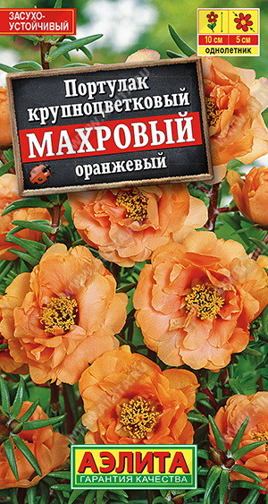 Портулак махровый оранжевый /Аэлита/ 0,05г/ h-10см d-5см