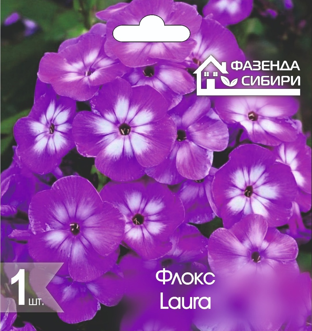 Флокс Лаура/Laura (1шт) Фазенда Сибири