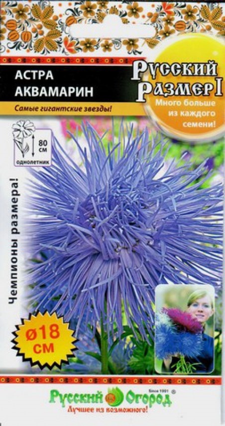 Астра Русский размер I Аквамарин /НК/0,3г/игол, голуб, h80см, d18см/