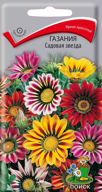 Гацания Садовая Звезда (0,1г) Поиск