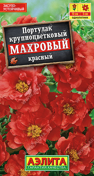 Портулак махровый красный /Аэлита/ 0,05г/ h-10см d-5см