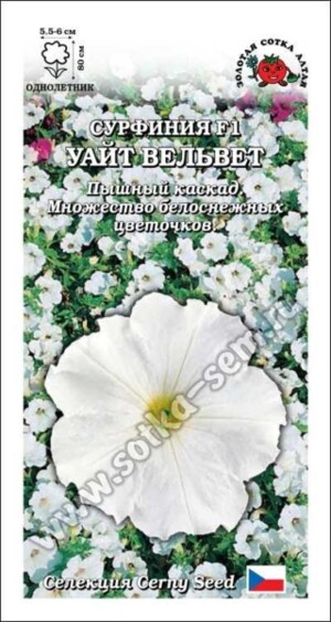 Петуния Сурфиния Уайт Вельвет F1 /Сотка/ 5шт/ роз. ампел. h-100см d-5,5см Cerny/*500