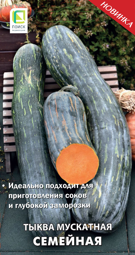 Тыква Семейная (5шт) Поиск