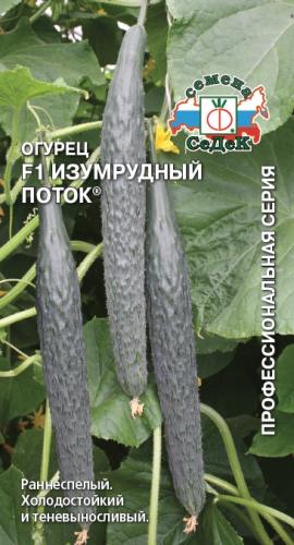 Огурец Изумрудный поток F1 /Седек/ 0,2г