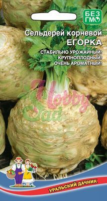 Сельдерей корневой Егорка (УД) Новинка!!!