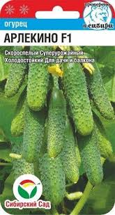 Арлекино 5шт огурец (Сиб Сад)