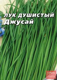 Лук Душистый Джусай  /Сотка/ 0,2г/ среднесп. /*1100