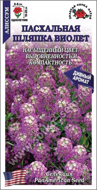 Алиссум Пасхальная шляпка Виолет /Сотка/ 0,01 г/ h-12см d-5см/*1800
