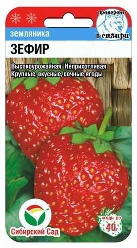Клубника Зефир 10шт  (Сиб сад)