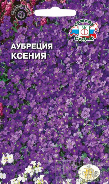 Аубреция Ксения темно-фиолетовая/Седек/цп