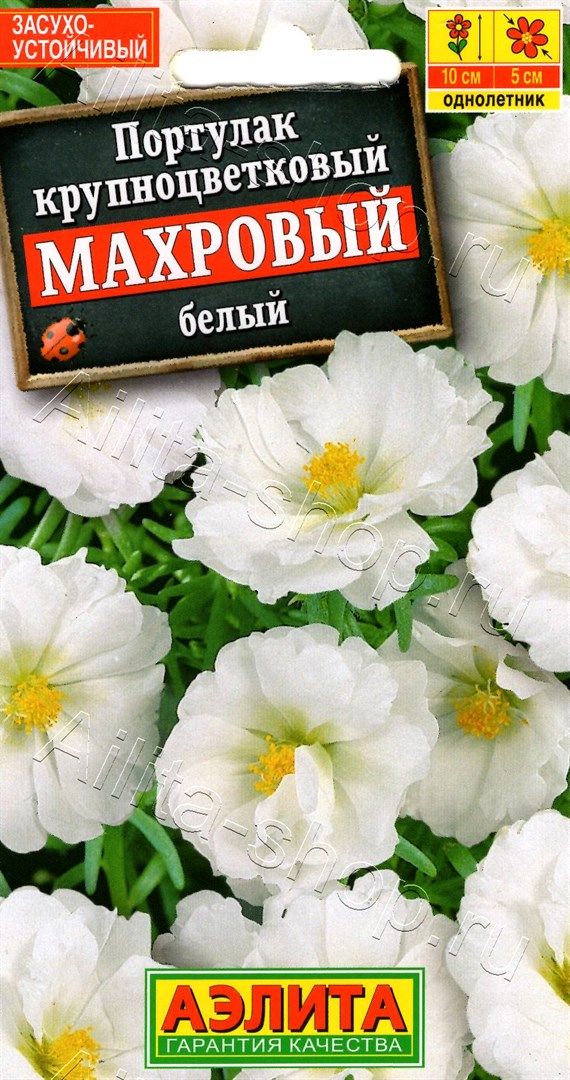 Портулак махровый белый /Аэлита/ 0,05 г