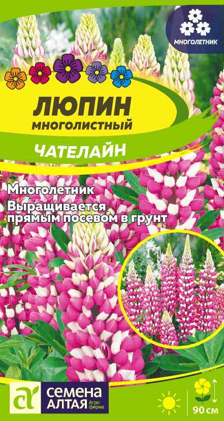 Люпин Чателайн/Сем Алт/цп 0,3 гр. многолетник