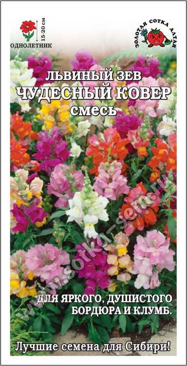 Львиный Зев Чудесный Ковер /Сотка/ 0,2г/ смесь h-20см