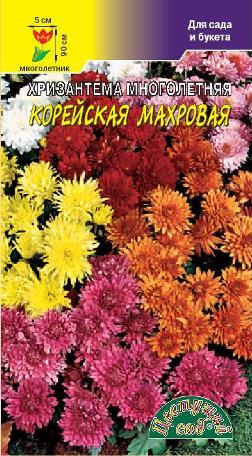 Хризантема Корейский букет Махровая Многолетняя/Цвет.сад/цп