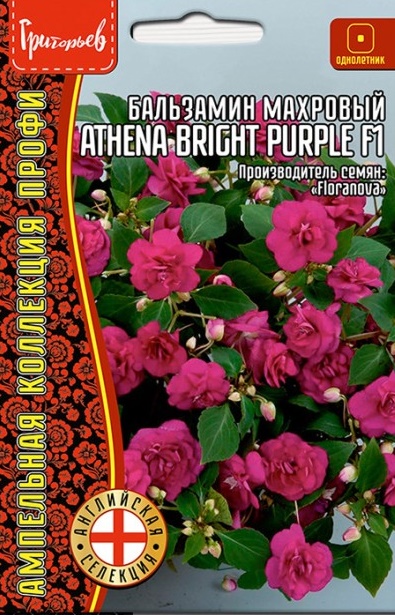 Бальзамин Athena Bright Purple F1 махровый амп. (5др) Редкие овощи