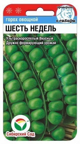 Горохх 6 недель 5гр  (Сиб Сад) скор.45см