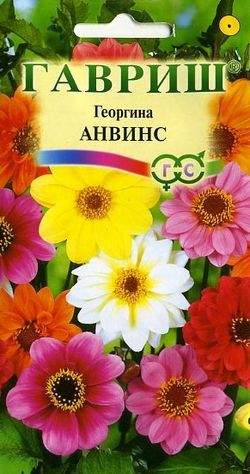 Георгина Анвинс смесь /Гавриш/ 0,3г/ h-60см, d-9см полумахров.