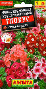 Флокс Глобус смесь /Аэлита/ 0,1г/ h-25см d-3см
