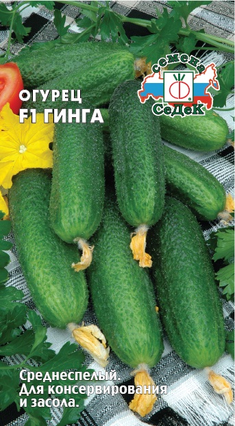 Огурец Гинга F1 (0,2г) СедеК