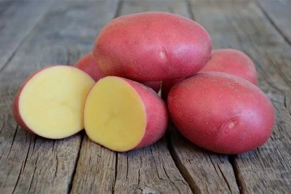 Картофель Лабелла 1 репродукция -1 кг