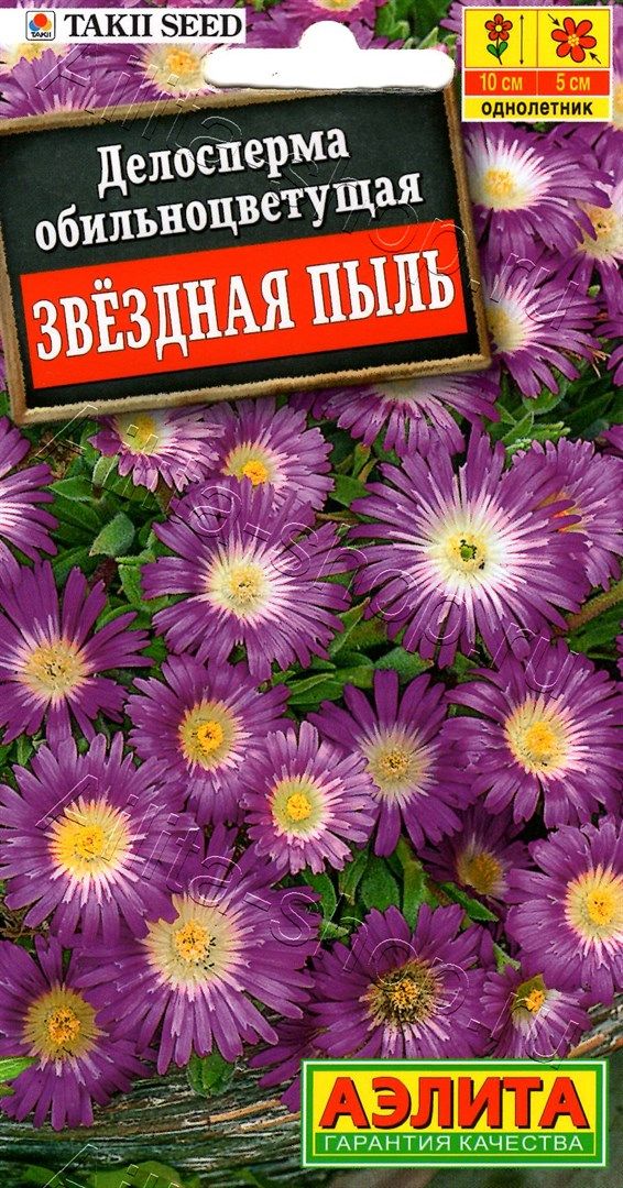 Делосперма Звездная Пыль/Аэлита/цп