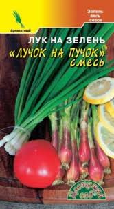 Лук На зелень Лучок на пучок /ЦветСад/ 0,3г/ среднесп.