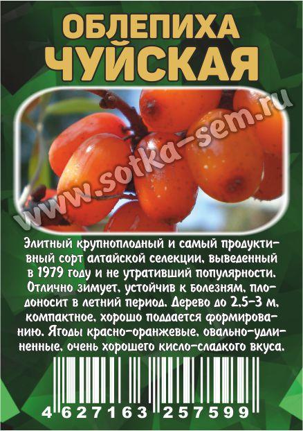 Облепиха Чуйская (коробка) 1шт (Сиб Сад)