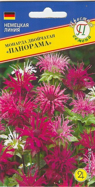 Монарда Панорама многолетник 10шт (Престиж)