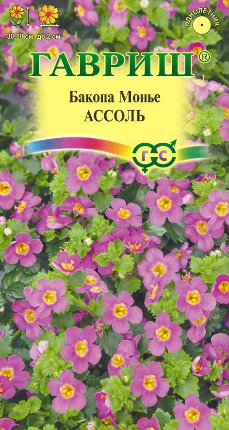 Бакопа Ассоль (Сутера) /Гавриш/цп 3 шт