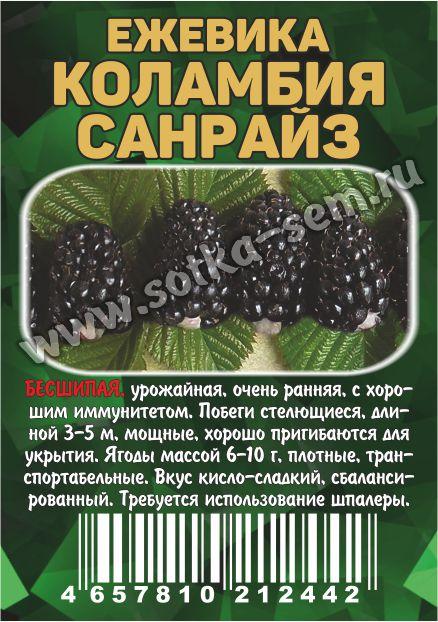 Ежевика Коламбия Санрайз /Сотка/