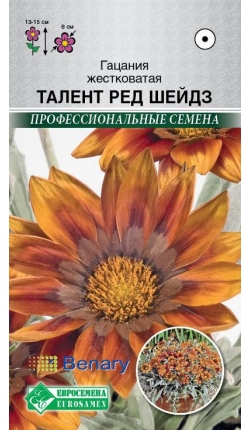 Гацания ТАЛЕНТ РЕД ШЕЙДЗ (5шт) / Benary Евросемена