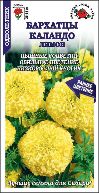 Бархатцы Каландо Лимон /Сотка/ 0,2г/ прям. 35см, d-10см/*1200