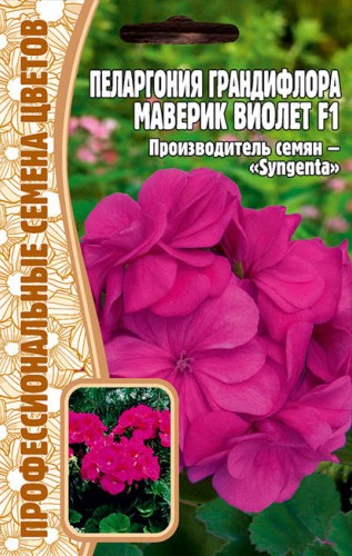 Пеларгония Маверик Виолет грандифлора F1 3шт (Ред.сем)