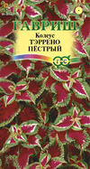 Колеус Тэррено пестрый 5шт Гавриш/10
