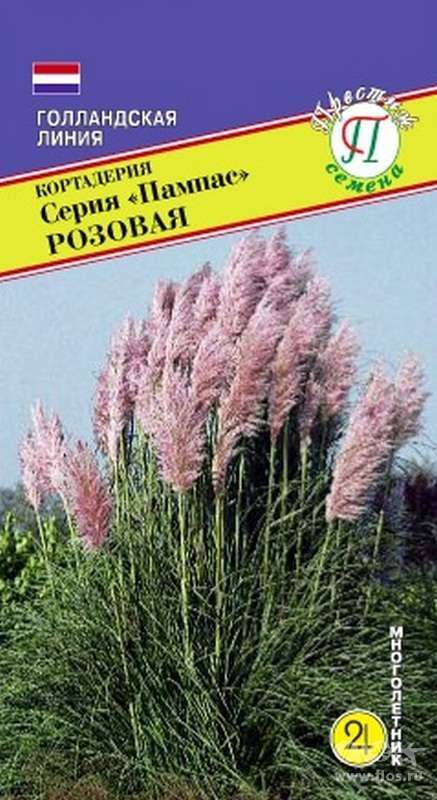Кортадерия Пампас розовая (0,05г) Престиж