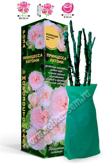 Роза Принцесса Хитоми /Японская-ЧГ/