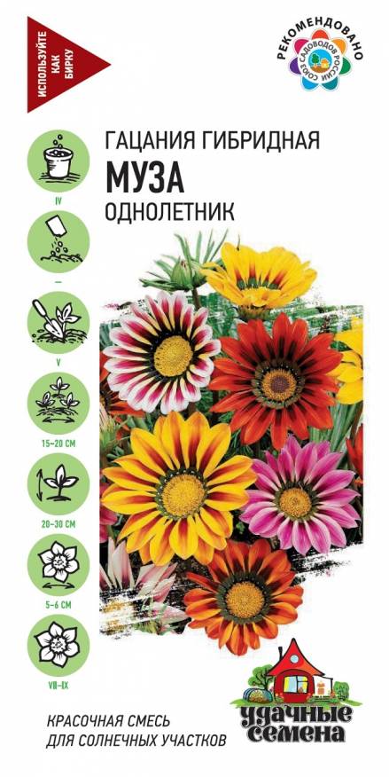 Гацания Муза смесь гибридная /Гавриш/ 0,05г/ h-20-30см d-5-6см
